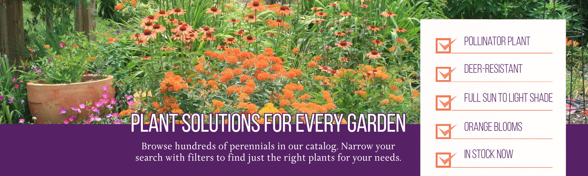 Plant solutions for every garden. Browse hundreds of perennials in our catalog. Narrow your search with filters to find just the right plants for your needs.