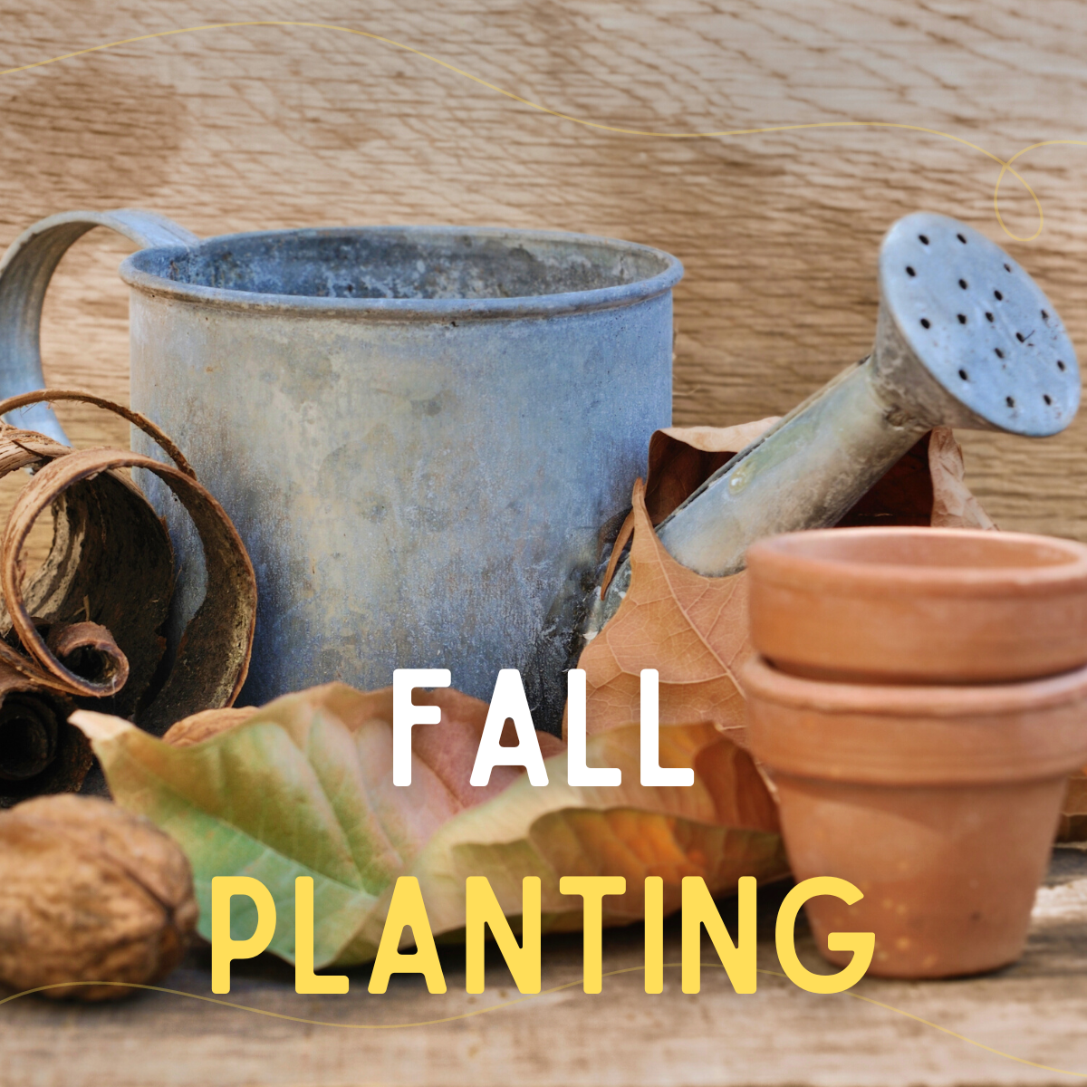 Fall Planting