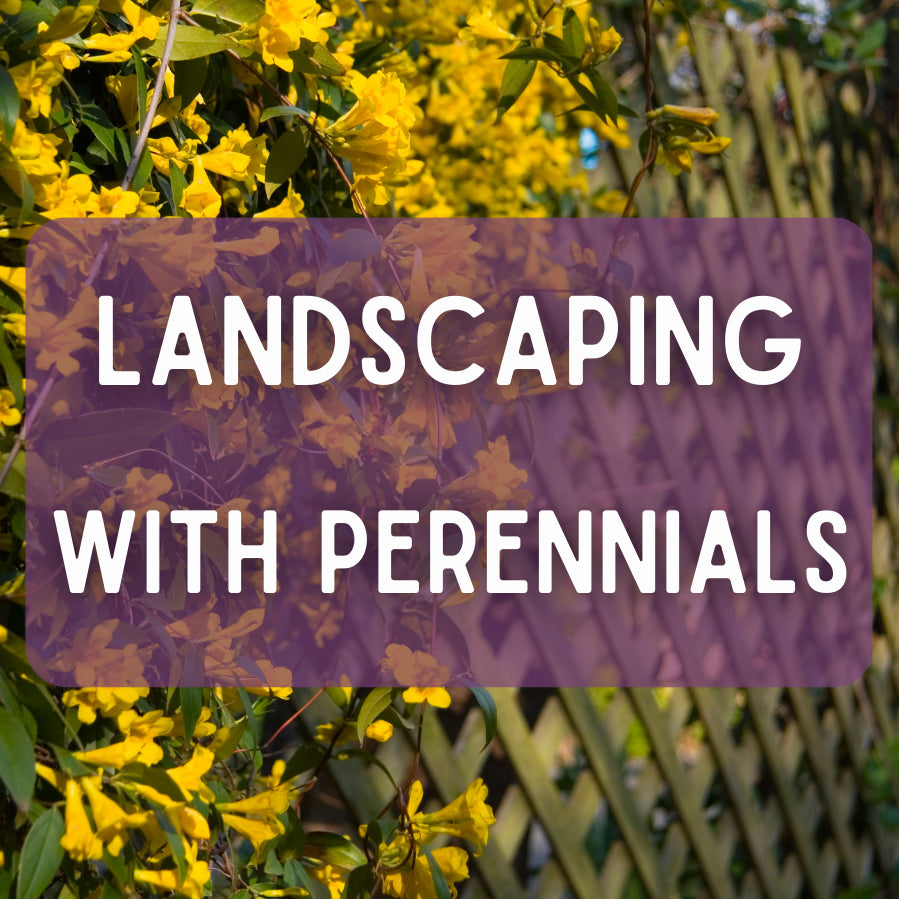 Landscaping with Perennials