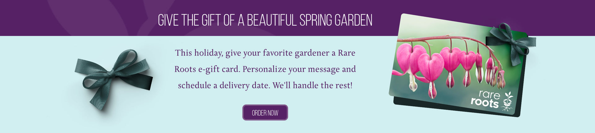 Give the gift of a beautiful spring garden. This holiday give your favorite gardener a Rare Roots electronic gift card. Personalize your message and schedule a delivery date. We'll handle the rest.