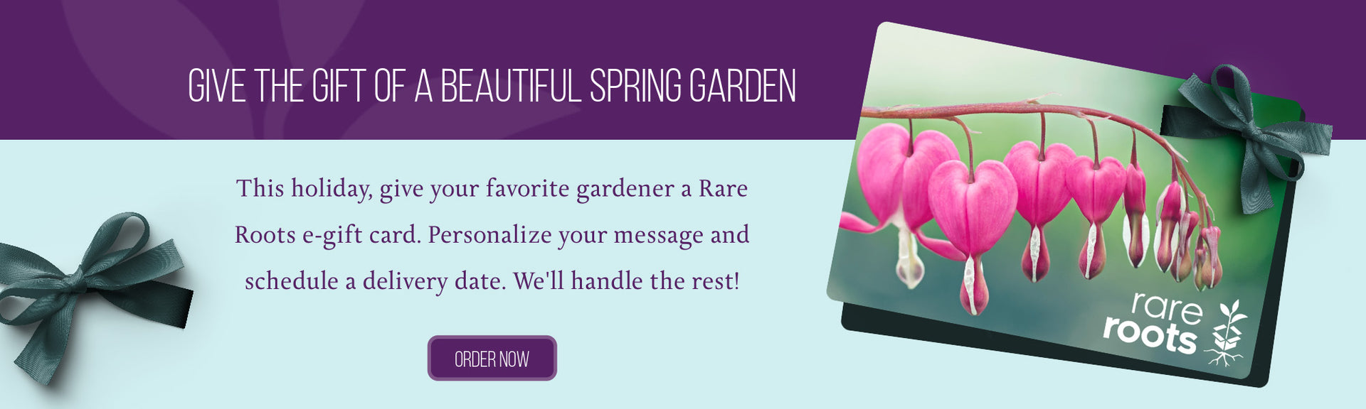 Give the gift of a beautiful spring garden. This holiday give your favorite gardener a Rare Roots e-gift card. Personalize your message and schedule your delivery day. We'll handle the rest.