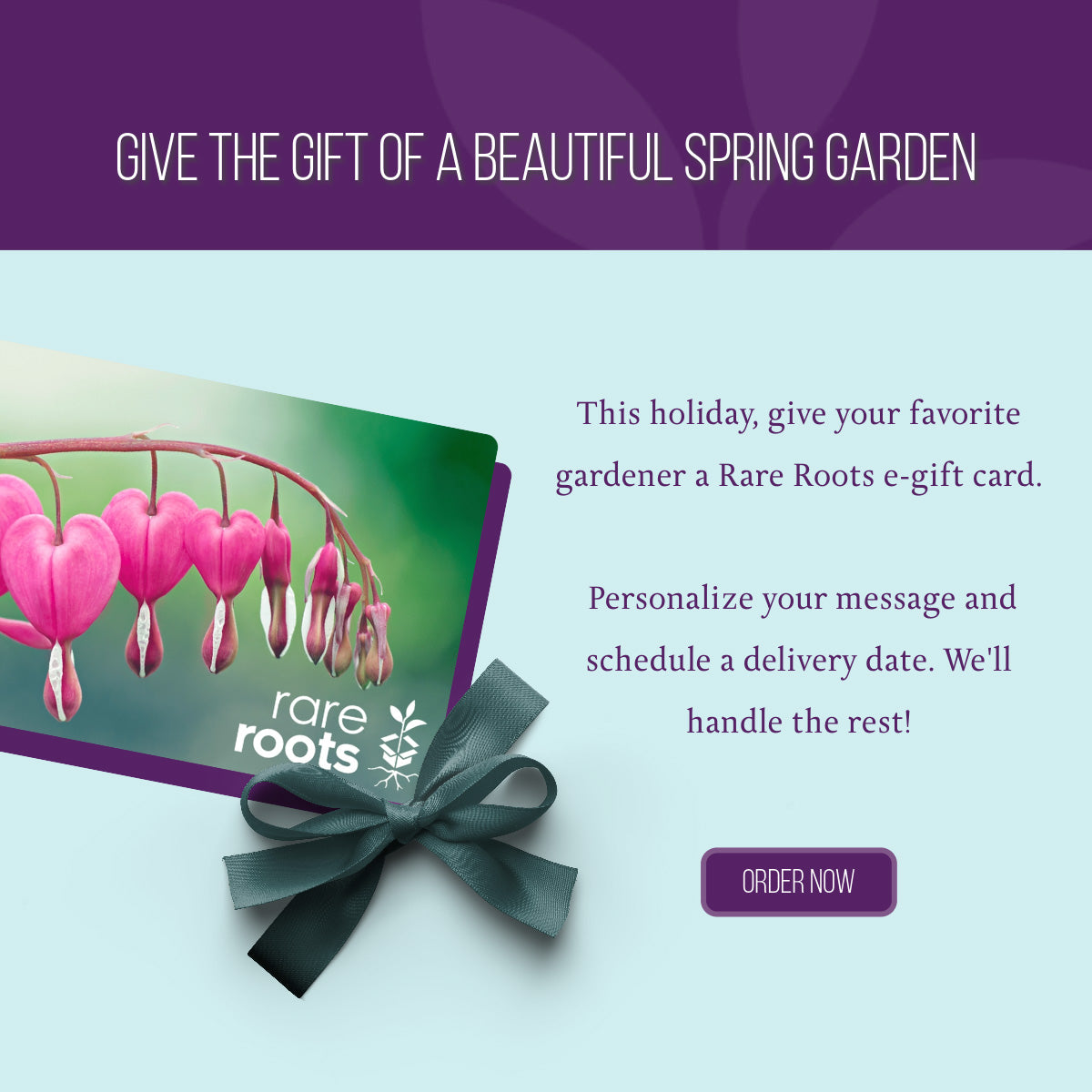 Give the gift of a beautiful spring garden. This holiday give your favorite gardener a Rare Roots e-gift card. Personalize your message and schedule your delivery day. We'll handle the rest.
