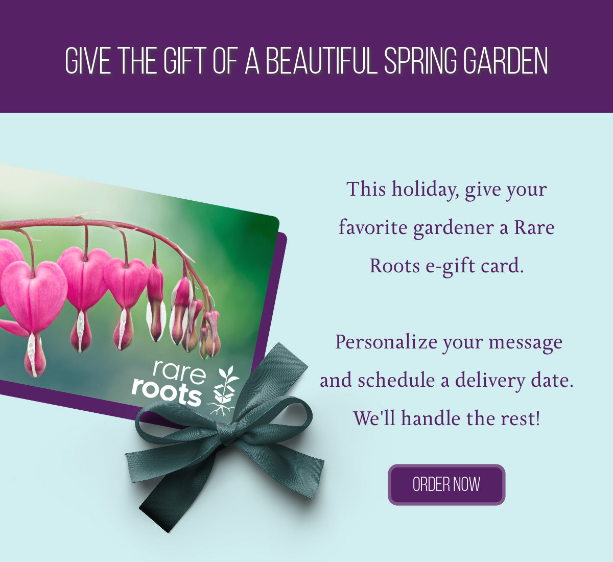 Give the gift of a beautiful spring garden. This holiday give your favorite gardener a Rare Roots electronic gift card. Personalize your message and schedule a delivery date. We'll handle the rest.