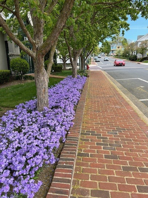 ◾️ヘレンド◾️フラワーブルーリボン/エレガントウォールクロック/定価12万円 ヘレンド ヴィクトリア・ブーケ 00507-0-47 ウォールクロック 23cm